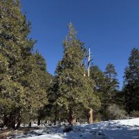 Manker Flat Campground ico