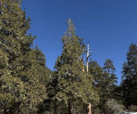 Manker Flat Campground