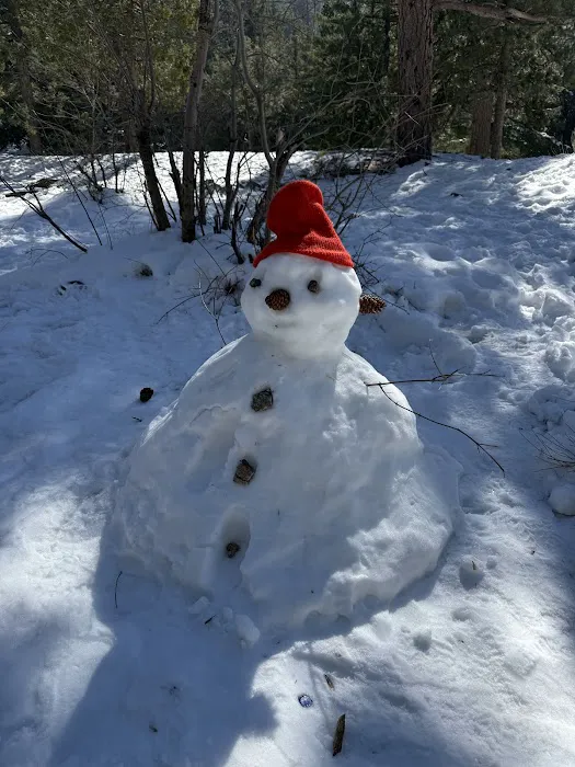 Manker Flat Campground Picture 5