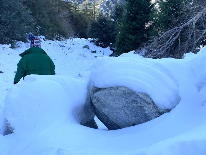 Manker Flat Campground Picture 4