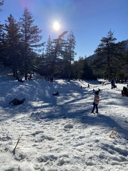 Manker Flat Campground Picture 7