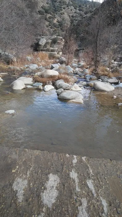 Cottonwood Campground Picture 10