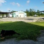 Core Creek Marina RV Park/Lodging