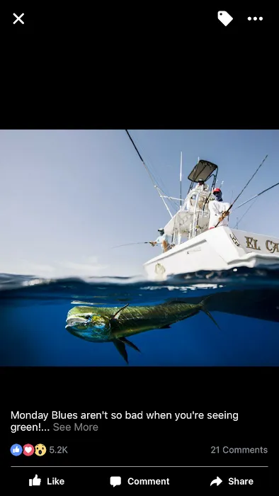 Core Creek Marina RV Park/Lodging Picture 10