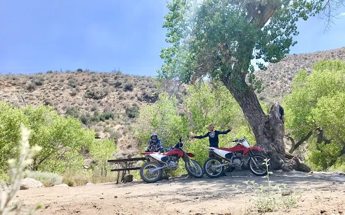 Kings Campground Picture 2