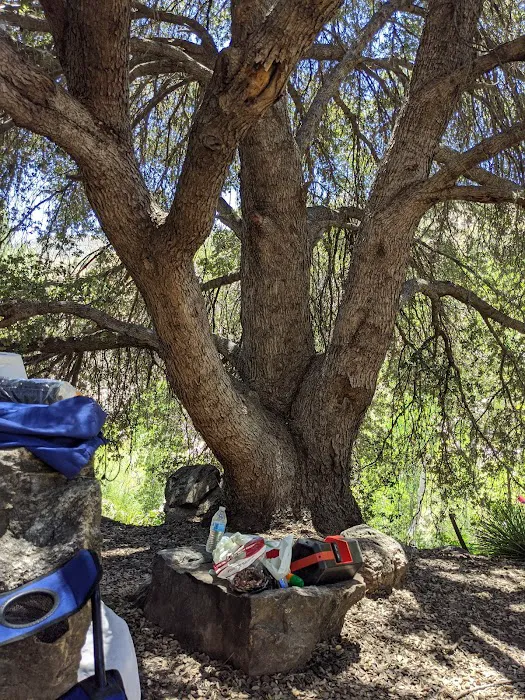 Kings Campground Picture 4