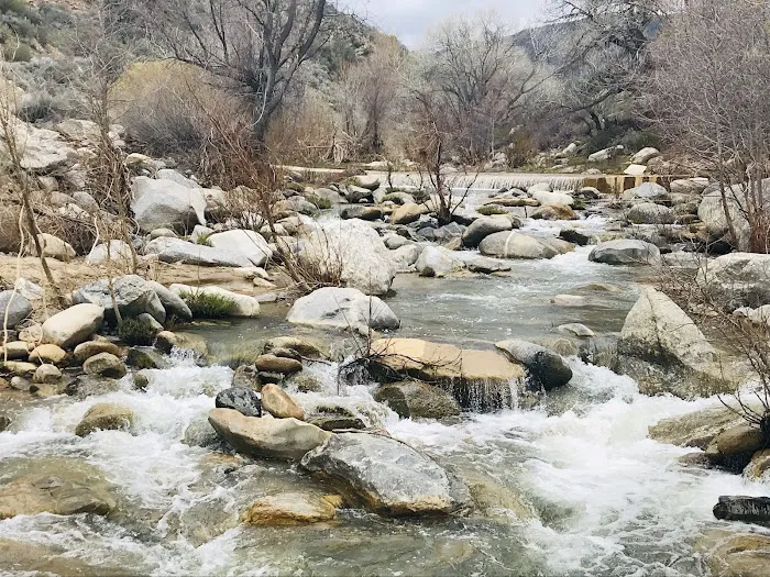 Kings Campground Picture 7