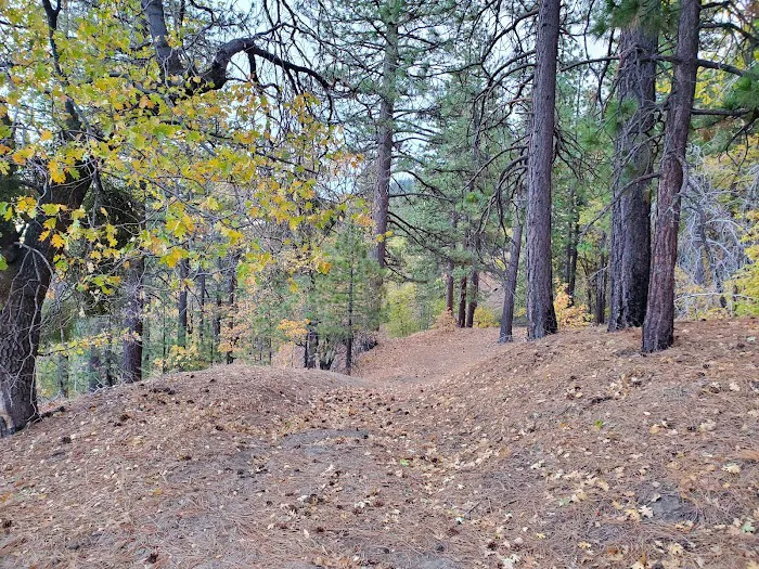 Twin Pines Campground Picture 4