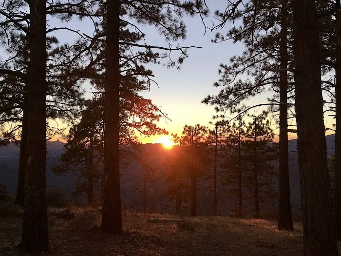 Twin Pines Campground Picture 3