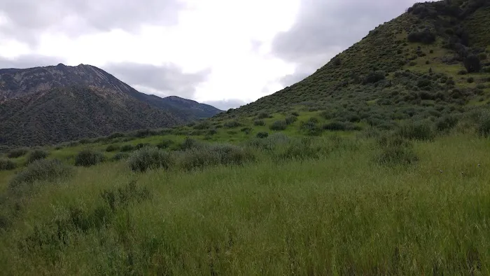 Sespe Camp Picture 3