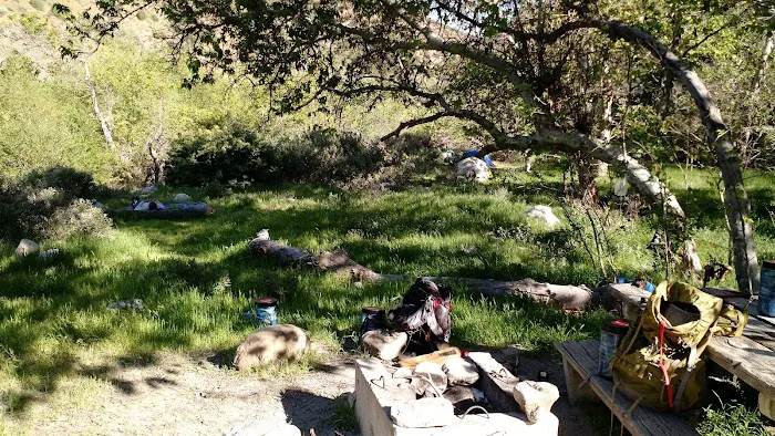 Sespe Camp Picture 1