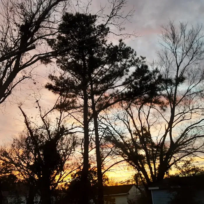 Atlantic Mobile home park Picture 3