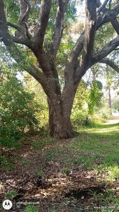 Atlantic Mobile home park Picture 2