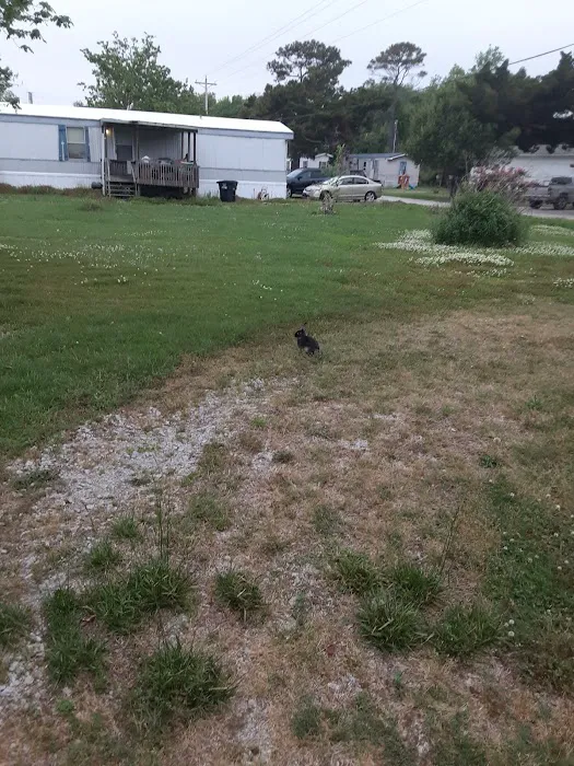 Atlantic Mobile home park Picture 10