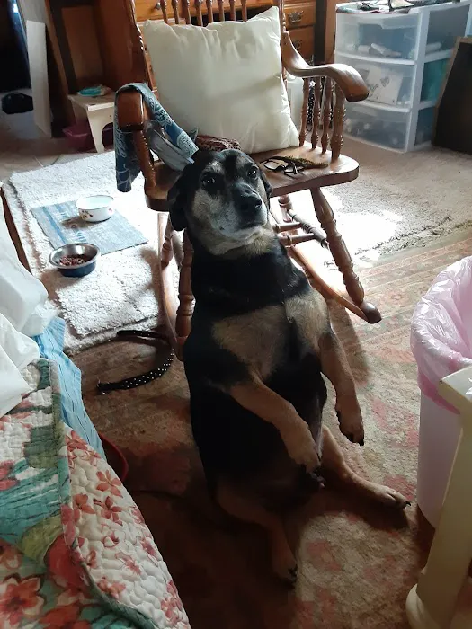 Atlantic Mobile home park Picture 7