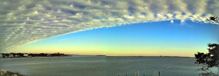 Dutch treat Picture 1