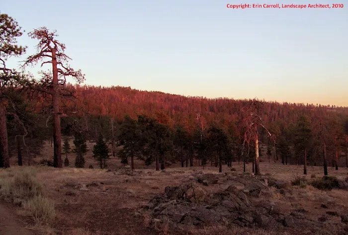 Dutchman Campground Picture 5