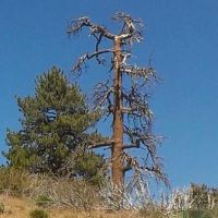 Dutchman Campground ico