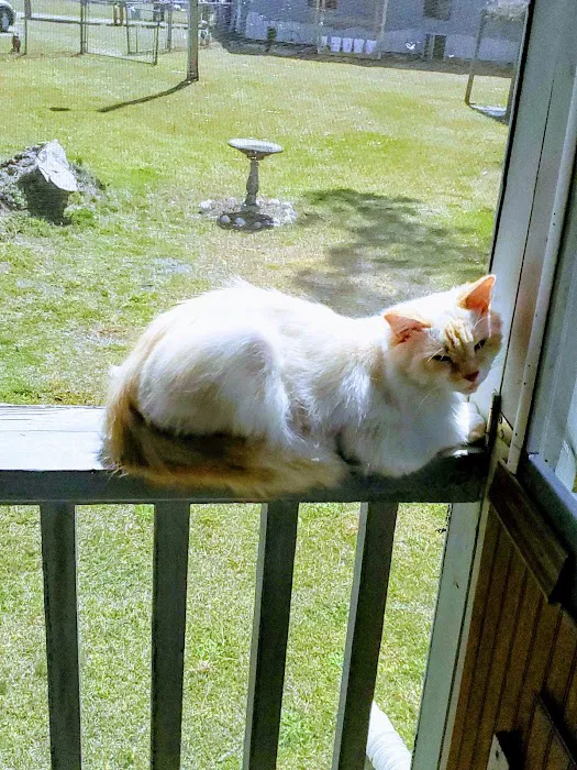 Dutch Treat Mobile Home Park Picture 9