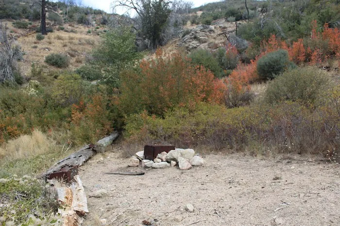 Little Mutau Campground Picture 2