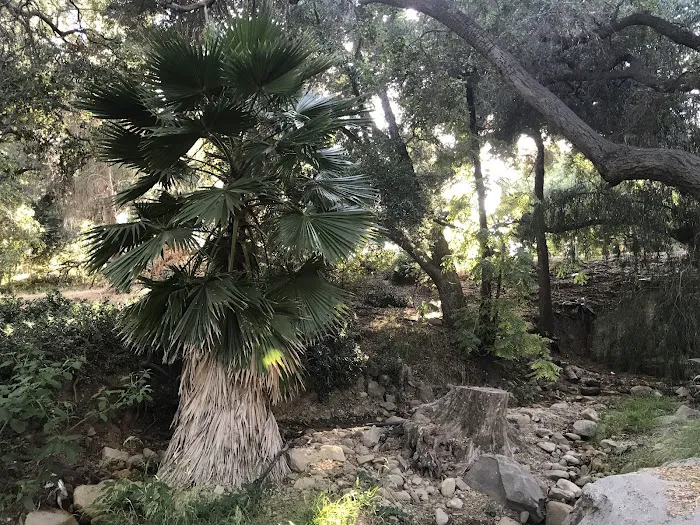 Kenney Grove Park Picture 9