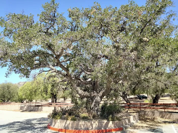 Oak Park Campground Picture 2