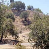 Oak Park Campground ico