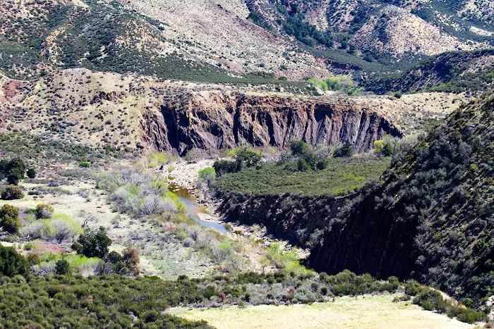 Sespe Hot Springs Palm Camp Picture 9
