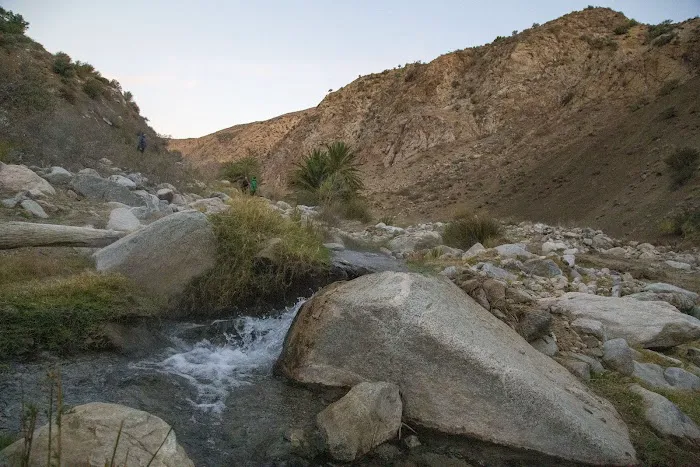 Sespe Hot Springs Palm Camp Picture 6