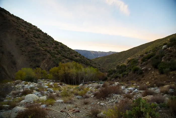Sespe Hot Springs Palm Camp Picture 7