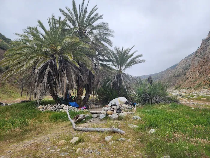 Sespe Hot Springs Palm Camp Picture 10
