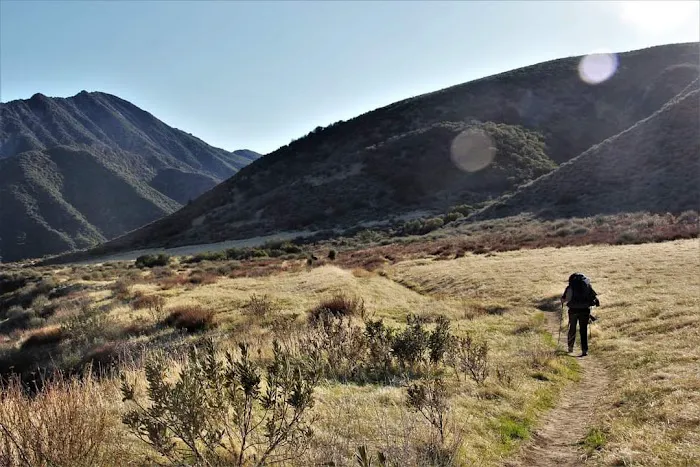 Sespe Hot Springs Palm Camp Picture 4