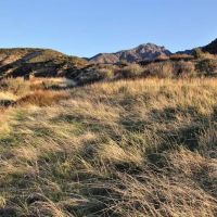 Sespe Hot Springs Palm Camp ico