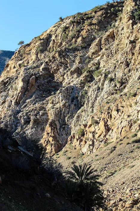 Sespe Hot Springs Palm Camp Picture 5
