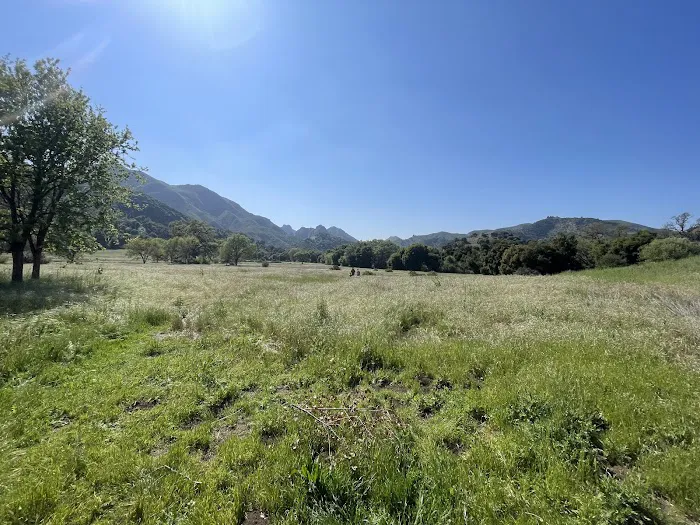 Malibu Creek State Park Campground Picture 10