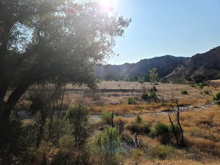Malibu Creek State Park Campground Picture 5