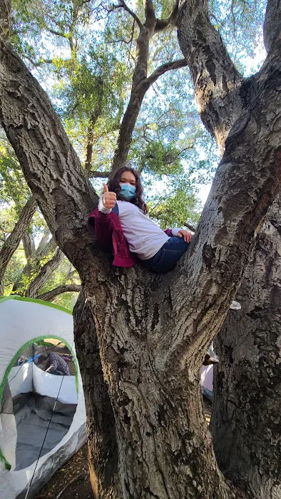 Malibu Creek SP Group Camp Picture 1