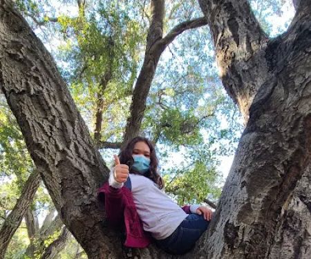 Malibu Creek SP Group Camp