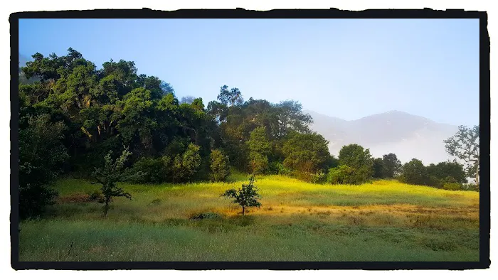 Malibu Creek SP Group Camp Picture 6