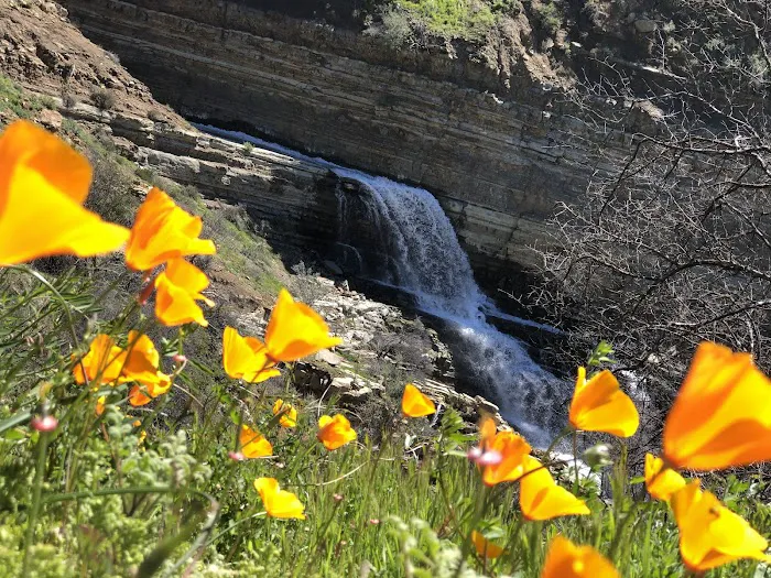 Last Chance Trail Picture 4