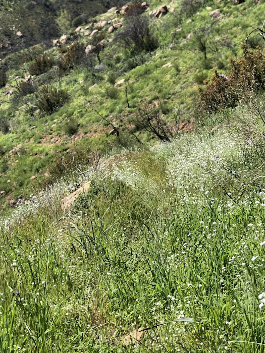 Last Chance Trail Picture 6