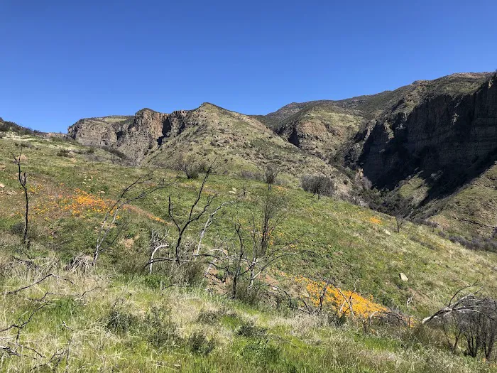 Last Chance Trail Picture 8