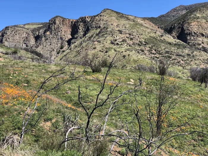 Last Chance Trail Picture 10