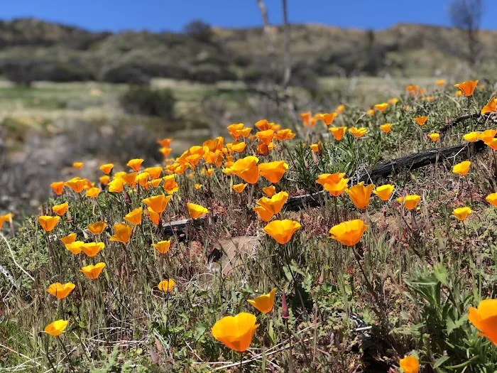 Last Chance Trail Picture 3