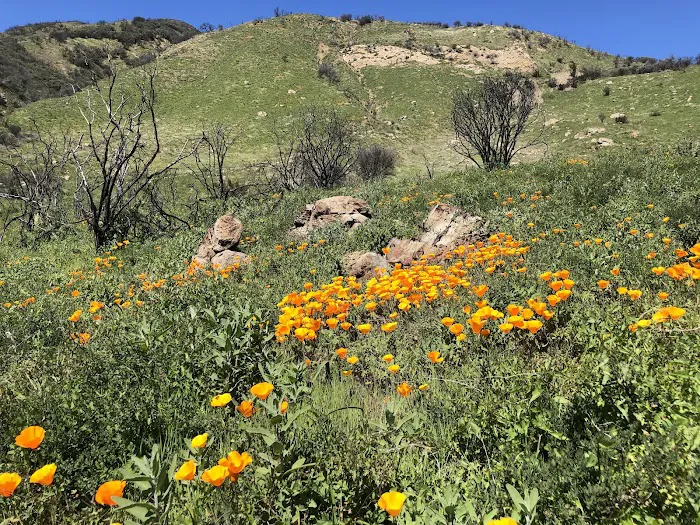 Last Chance Trail Picture 5