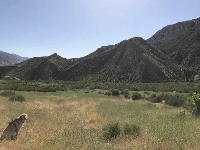 Oak Flat Camp Picture 4