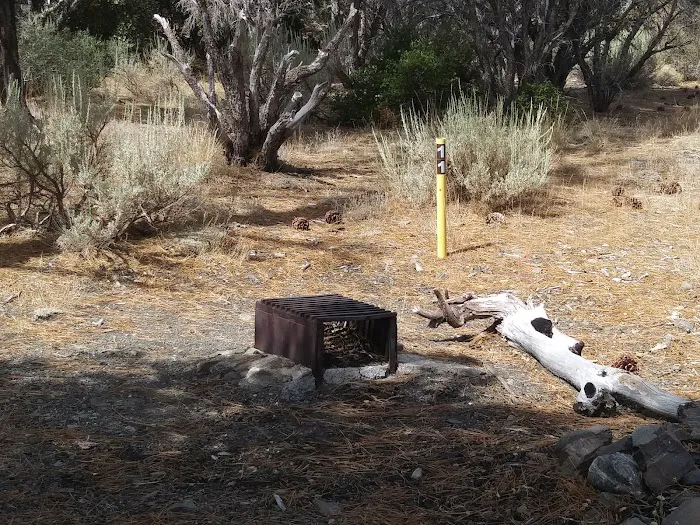 Paiute Canyon Yellow Post Sites Picture 1