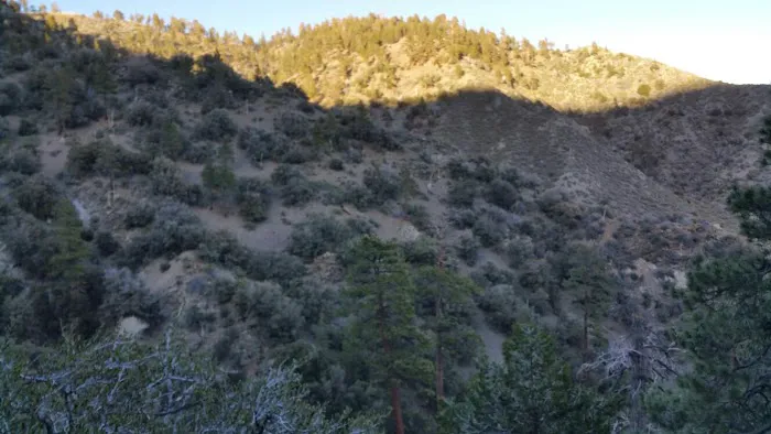 Paiute Canyon Yellow Post Sites Picture 2