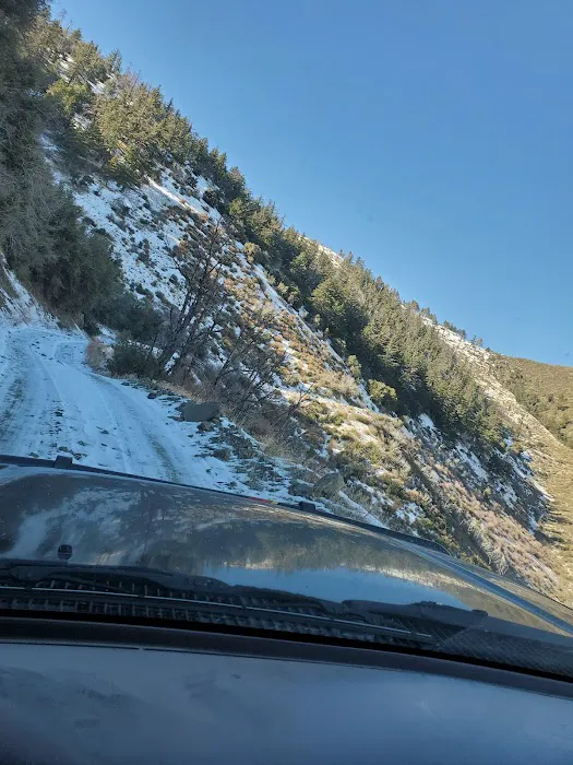 Gobbler's Knob Yellow Post Sites Picture 1