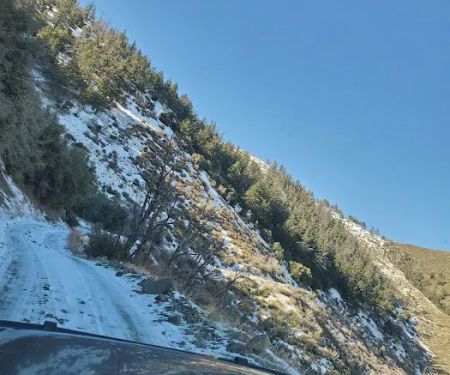 Gobbler's Knob Yellow Post Sites